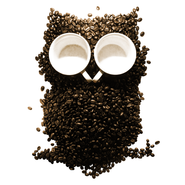 Hoot Night Owl Tee Design by ivejustquitsmoking